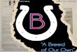 Broncos Untamed - Issue 1