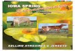 2013 Iowa Spring Extravaganza Sale
