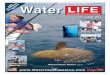 Water LIFE July 2014