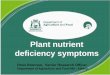 Plant Nutrient Deficiency Symptoms