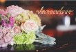 Wedding Packages 2015| Alexandria Photography