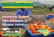 African Farming July August 2014