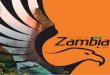 Destination Zambia 2013