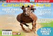 Canadian Horse Journal - SAMPLE - August 2014