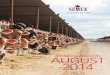 Semex - August 2014 USA Jersey Catalog