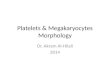 Platelets & megakaryocytes
