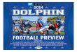 2014 Dolphin Football Preview