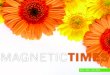 Magnetic Times April-May-June