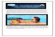 Go Chemless-Swimming Pool Bio Sanitizer