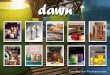 Dawn Direct Candles for Professionals Catalogue 2014