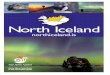 North Iceland Fall 2014