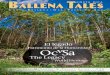 Ballena Tales #38