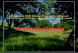 Beautiful Hill Based Conversion Land with Luxury Resort Just on North Bengal