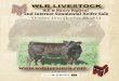 WLB Livestock 2nd Internet Simmental Heifer Sale