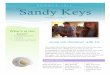 Sandy Keys Summer Newsletter