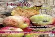 Healthy Beginnings Magazine October 2014