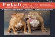 2014 Fall Fetch Magazine