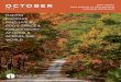 This Month (Multisite), October 2014