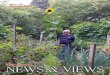 Llanferres News & Views October 2014