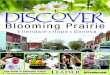 Discover blooming prairie 2014