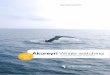Ambassador Whale Watching - Sales manual 2015