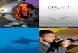 CPI Aero 2013 Annual Report