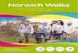Norwich Walks - Nov 2014 to Feb 2015