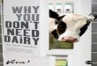 Why you don't need dairy