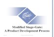 Modified Stage-Gate: A Product Development Process