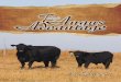 Today's Angus Advantage Late Fall 2014