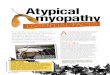 Atypical myopathy