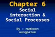 ch_6 Socialinteractionandsocialprocesses