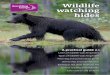 Wildlife watching hides – a practical guide 2.1