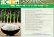 12th november,2014 daily global rice e newsletter by riceplus magazine