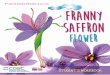 FRANNY SAFFRON (Student´s Workbook, 8 years old)