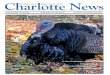 The Charlotte News | Nov.  20, 2014