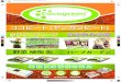 Cocogreen Japan Product Brochure