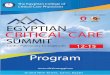 Egyptian Critical Care Summit 2015 program
