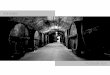 Podolyak eva wineries