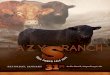 Lazy S Ranch Bull Sale 2015