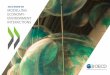 OECD Work on Modelling Economy-Environment Interactions - 2014