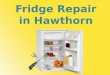 Fridge repair hawthorn