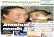 Wainuiomata News 20-01-15