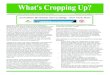 What's Cropping Up? Vol. 24 Issue 2