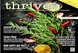 Thrive Winter - Jan 2015-Sample