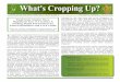What's Cropping Up? Volume 25, Number 1 - January/February