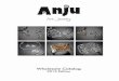 Anju 2015 catalog