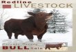 Redline Livestock 2015 Bull Sale Catalog