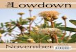 The Lowdown - 2013-11 November