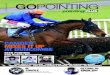 Go Pointing | 17 February 2015